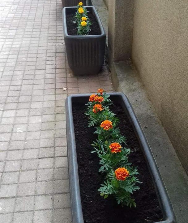 Photo of Others in Daruvar
