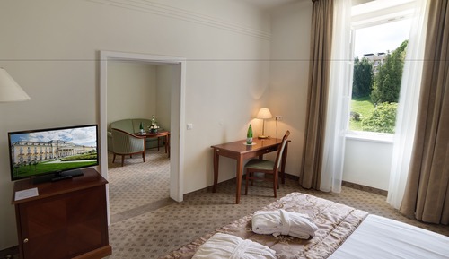 Premium Suite, Park View
