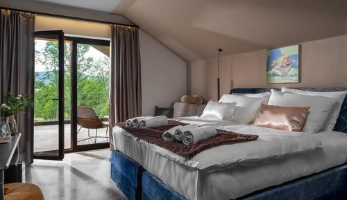 Deluxe Double or Twin Room, Hill View