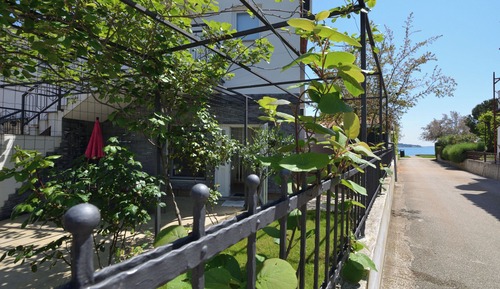 Apartment (A1)