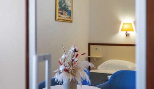 Standard Double Room with Balcony and Sea View