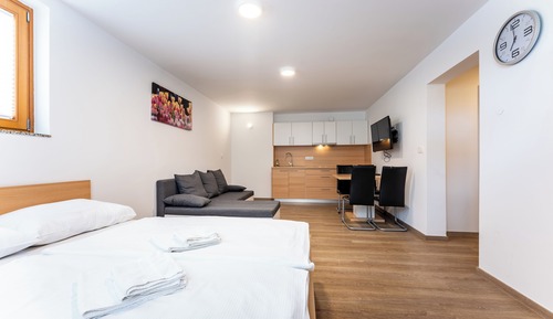 Superior Studio Apartment with Terrace