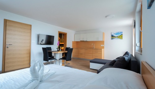 Classic Studio Apartment