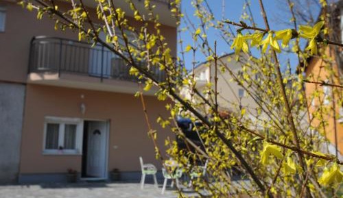Apartment - Ground Floor