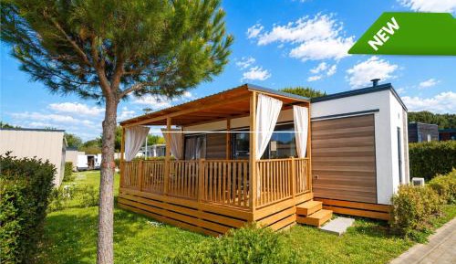 Mobile Home