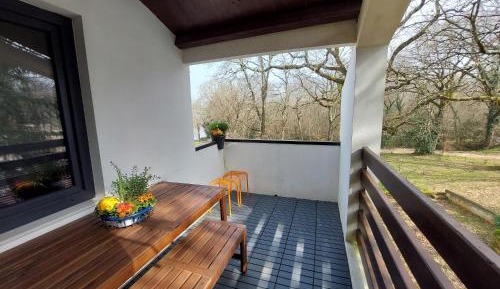 Apartment with Terrace