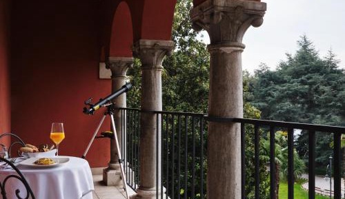 Superior Room with Balcony and Park View