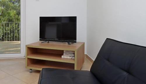 Three-Bedroom Apartment with Terrace
