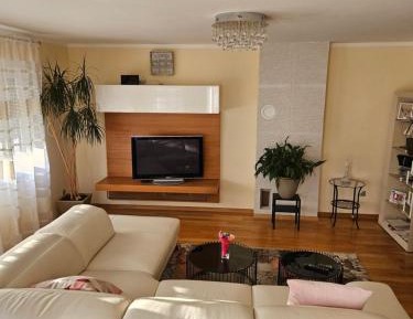 Penthouse Apartment