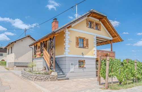 Crnomelj House | Vineyard Cottage Stepan