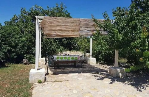 Savar Apartment | Apartments Sea View (10954-A2) - Savar (island of Dugi otok)