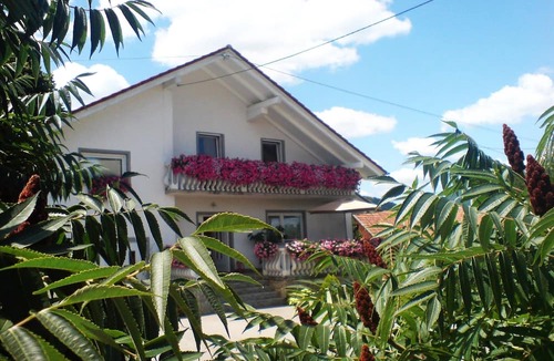 Irinovac House | Ranch Terra