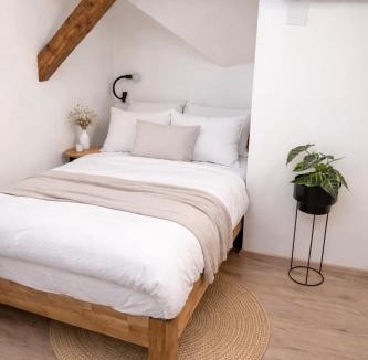 Kranj Apartment | Ekoviki2