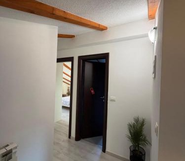 Rovinjsko Selo Apartment | Guesthouse Casa Barbaro
