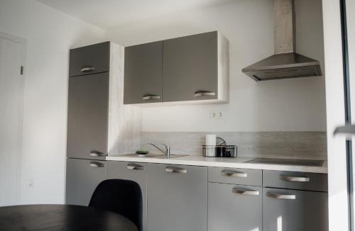 Verzej Apartment | AURORA Apartment Banovci