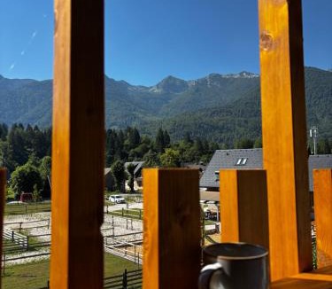 Bohinj Apartment | Apartmaji ob Savi