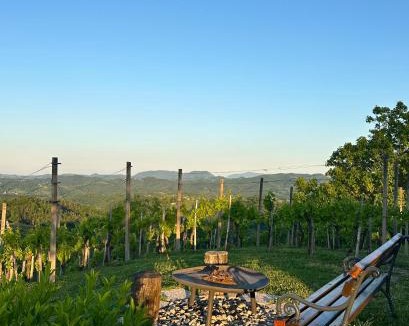 Majsperk House | Tomajna Vineyard Stay