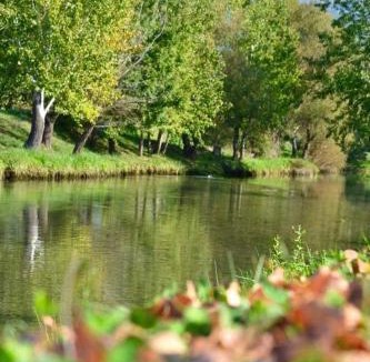 Zrnovnica Apartment | Nostress