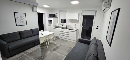 Murine Apartment | Kadenca