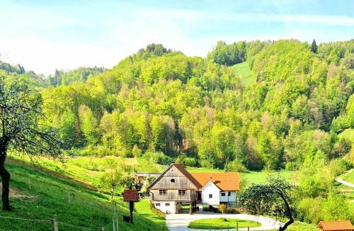Bostanj House | Atelje Mlin Umetnin Retreat