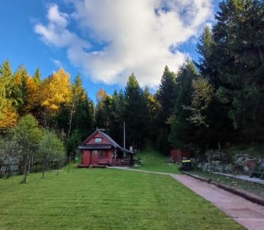 Presika Ski Chalet | Chalet Woody