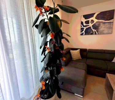 Vintijan Apartment | New luxury air-conditioned apartment, with jacuzzi, free parking and gardens