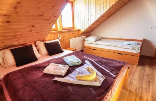 Ambroz pod Krvavcem House | EkoTurizem Viženčar