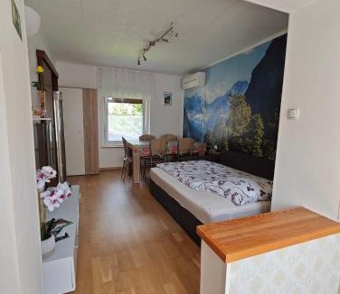 Zaga Apartment | Apartma Evi