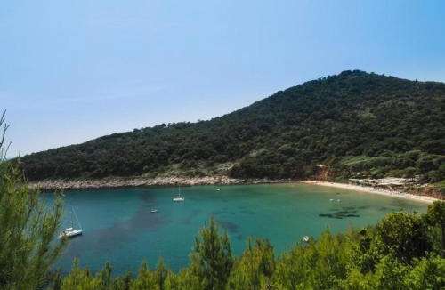 Lopud Island Apartment | Courtyard Stay in Town