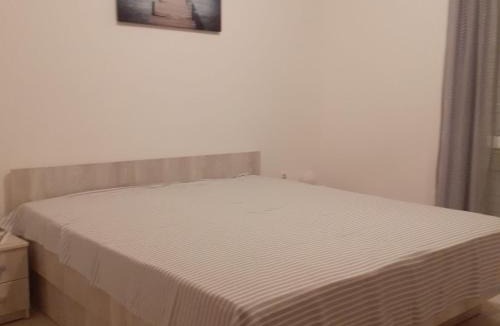 Molunat Apartment | Apartments Ane - Studio Apartment with terrace 1