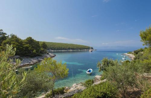 Vela Luka House | House Villa Bistrana