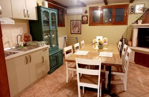 Murine Apartment | BLUE DEER