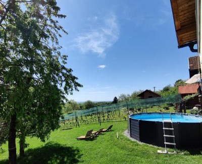Kraljevec Sesvetski Villa | Kuća za odmor Villa Cesarica - Zagreb