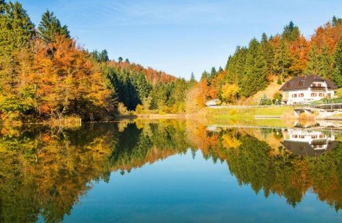 Brod Moravice House | Pool & Wellness Twin Chalets Zavrh