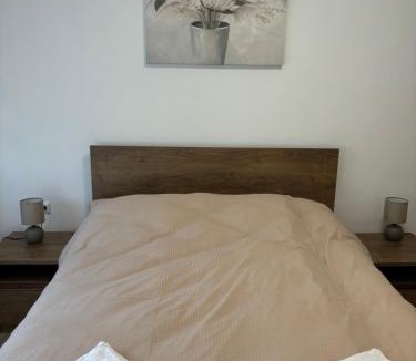 Vukovar Apartment | Vila Galerija