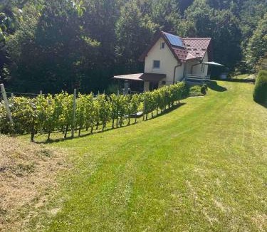 Varazdin Ski Chalet | Robinson "Mountain getaway" with Private Hot Tub & Spa