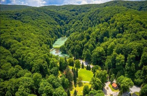 Cacinci House | Holiday home Tilia