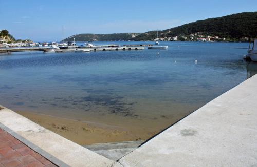 Supetarska Draga Apartment | Apartments by the sea Supetarska Draga - Donja, Rab - 15983