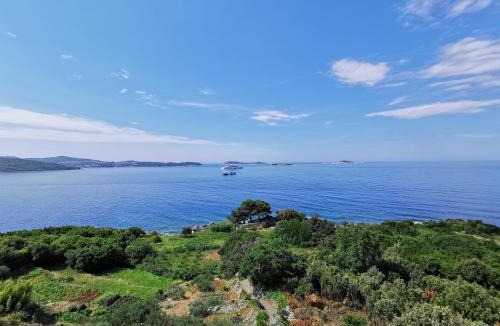 Zupa dubrovacka Apartment | Apartments Lira
