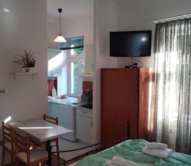 Icici Apartment | Palmgarden Apartments Opatija-Ičići