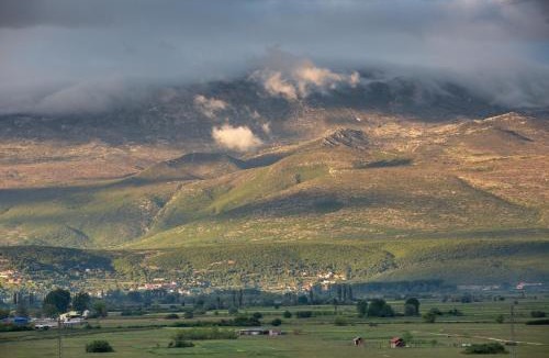 Sinj Bed & Breakfast | Corona B&B