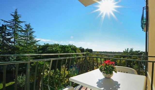 Cosy flat in Valica with large garden