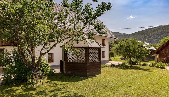 Mountain View Apartment in Bohinj in Bohinj