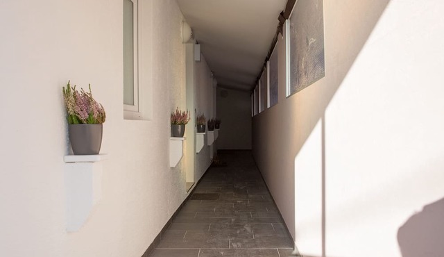 Apartments SHISHKA in Ljubljana