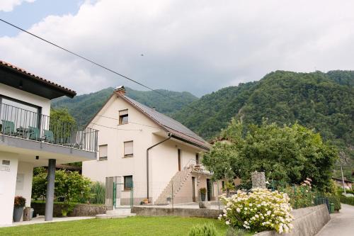 Apartments Ole in Tolmin