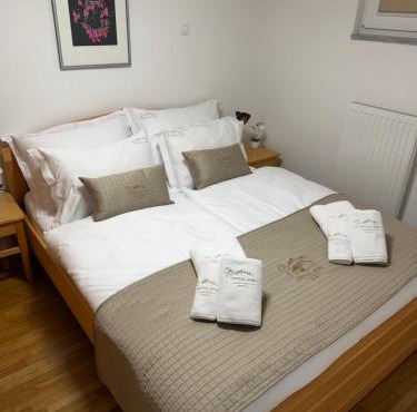 Apartments CRYSTAL AURA in Bohinj
