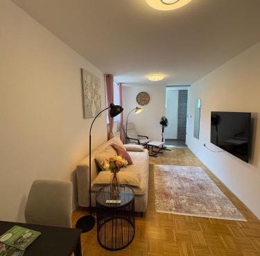 Corner Terrace apartment in Ljubljana