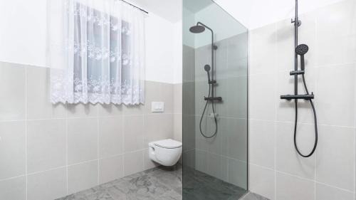 Modern villa Bibali Istra with pool in Buje