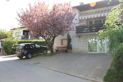 Rooms Jurca in Postojna